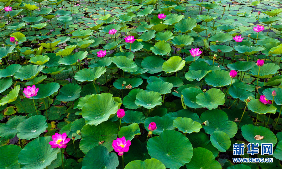 【航拍】安徽淮北：因地制宜打造“美城”