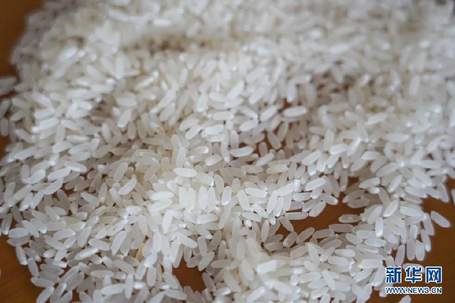 喜讯！我国早粳稻新品种选育成功 有望提前一个季度吃上新粳米