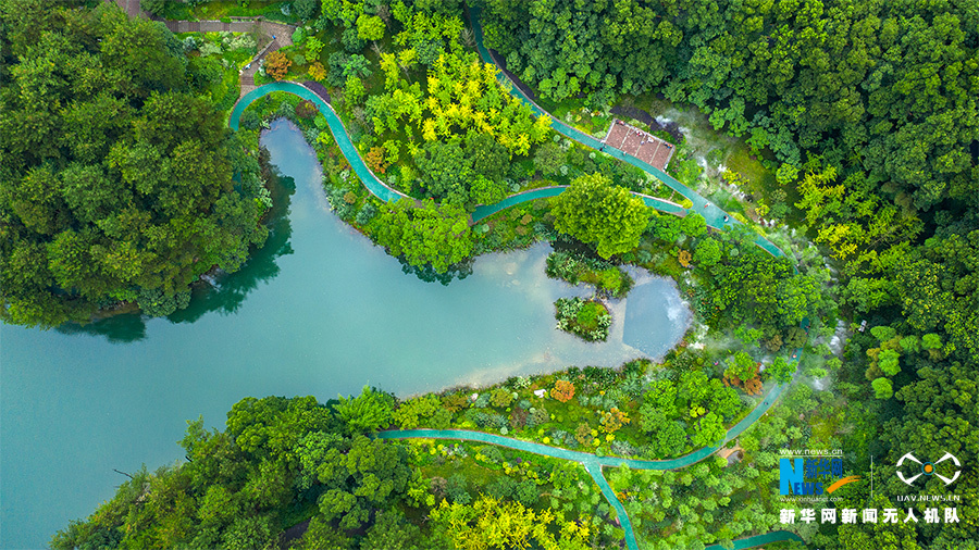 直击：一个国家级自然保护区的生态新画卷