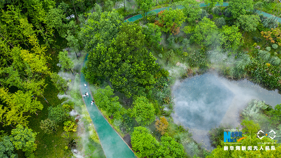 直击：一个国家级自然保护区的生态新画卷