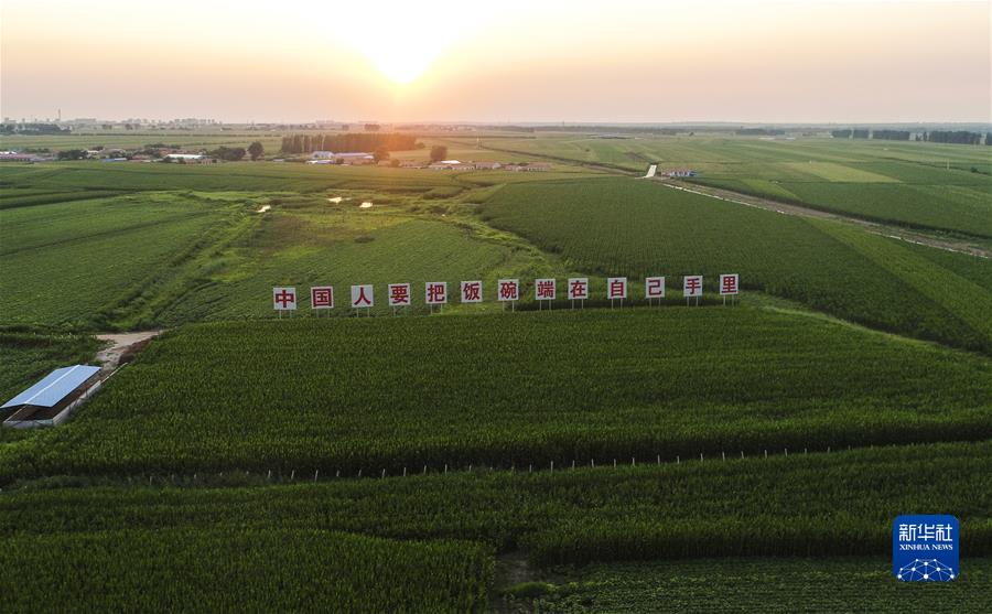 （新华全媒头条&middot;图文互动）（7）习近平关心关怀劳动者的故事