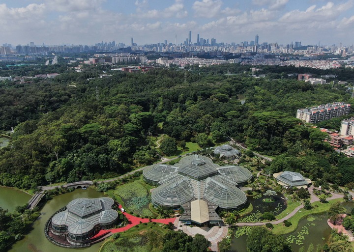 科普升温 引种加速 城园融合——华南国家植物园揭牌一周年观察