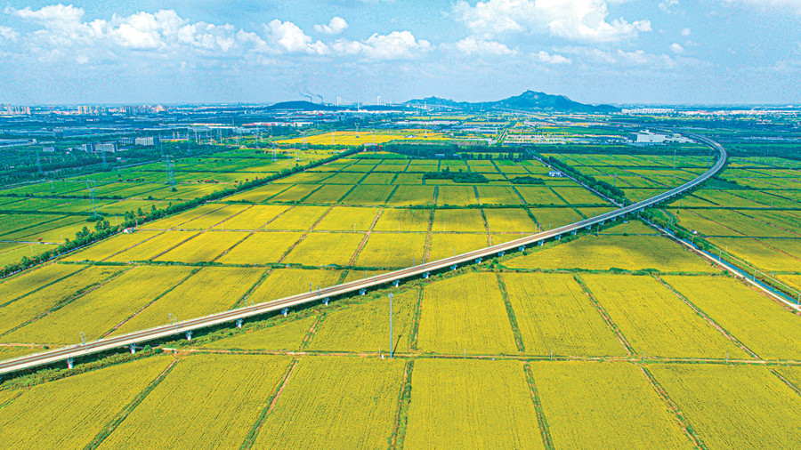 “万亩粮田”种植现象透视——江苏农业现代化新动向侧记