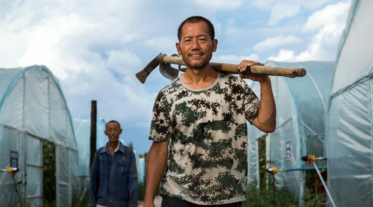 “大棚书记”孙国亮