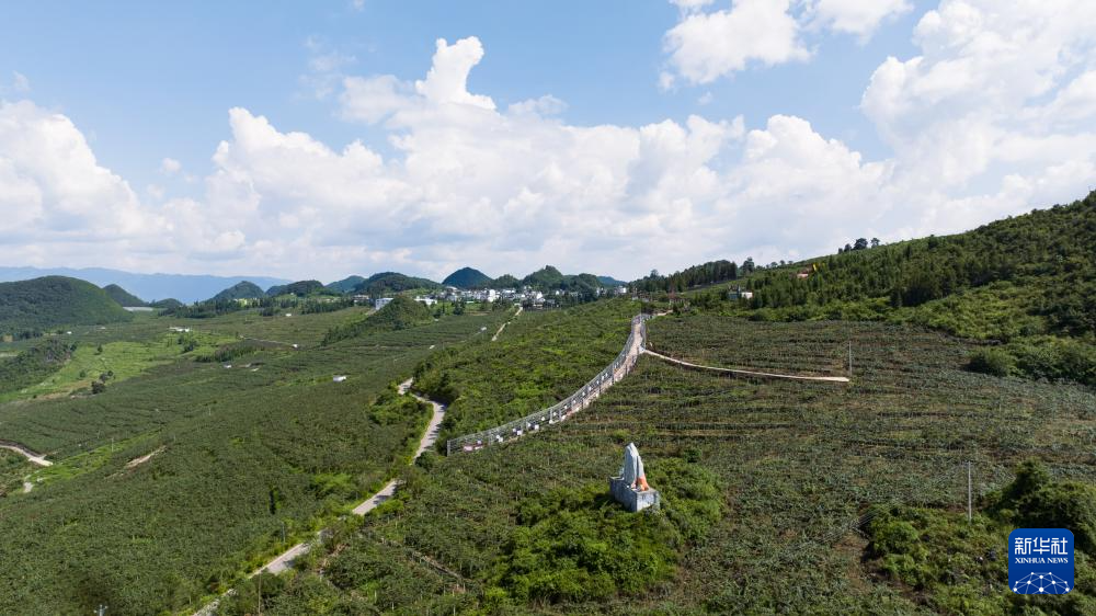 新时代中国调研行之看区域·西部篇丨云南文山：“石头山”蝶变“花果山”-新华网