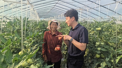 河南蒿坪村：从“烦心村”到“暖心窝”