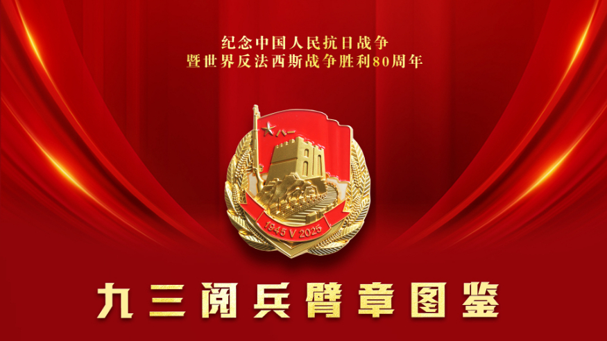 请收藏！九三阅兵臂章图鉴