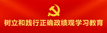 树立和践行正确政绩观学习教育