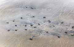 航拍英国渔船&ldquo;圆圈&rdquo;捕蛤惊人画面