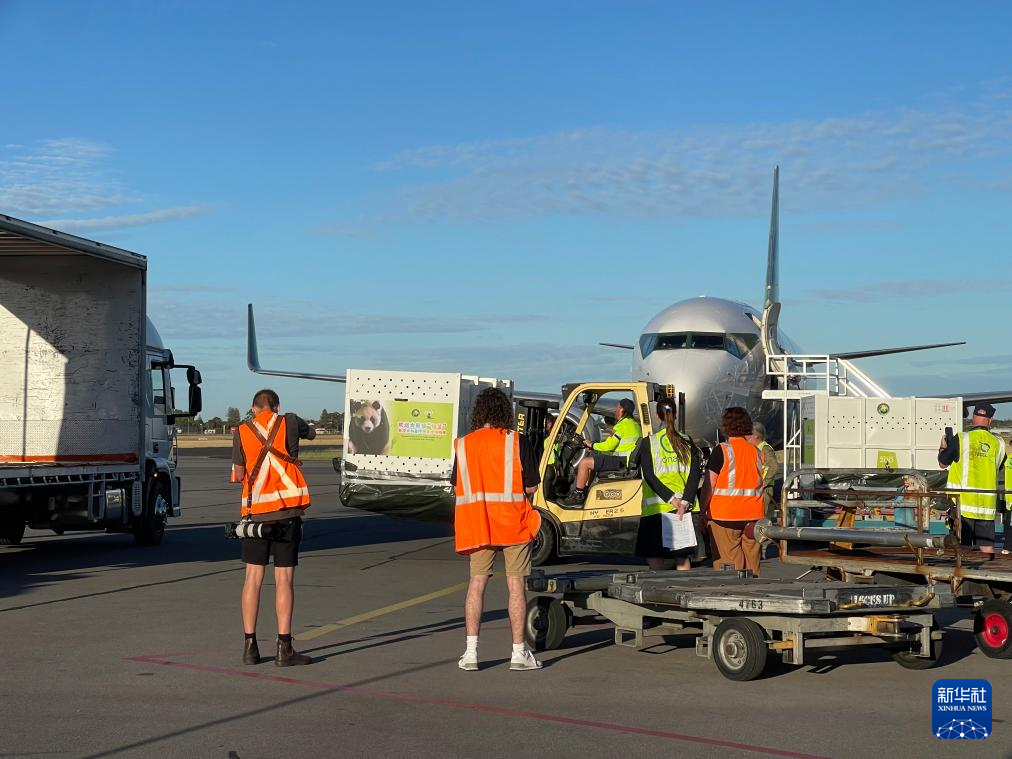 苹果免费的vpn软件