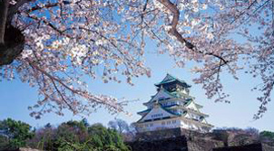 访问日本大阪外国游客超过370万人 中国人数倍增