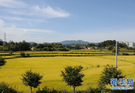 金秋时节的韩国庆尚北道（高清组图）