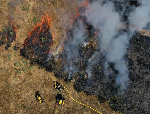 美国：预测称今年加州野火频发 当地举行消防演习