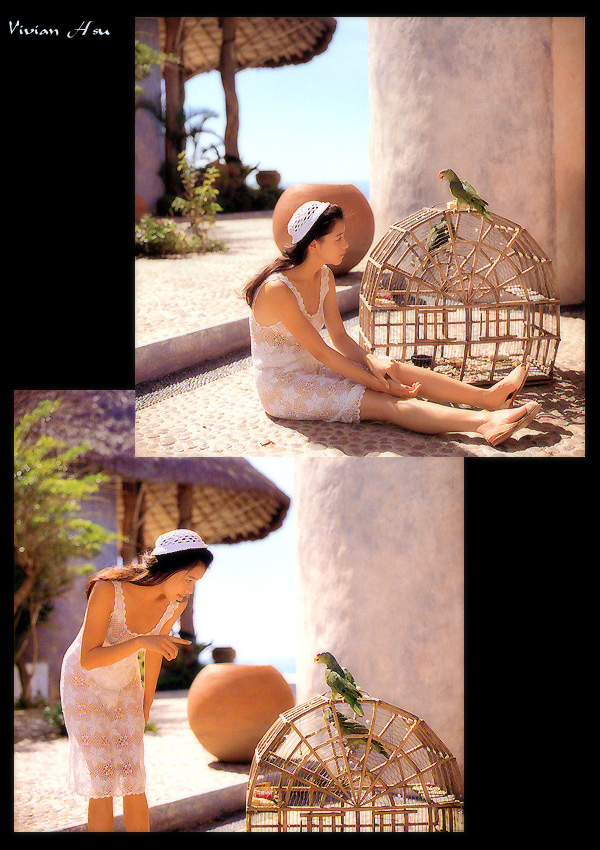 Vivian_Hsu011
