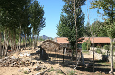 榔头沟农户家(治理后)