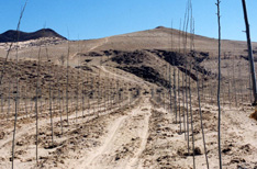 小坝子点将台(治理前)