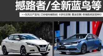 全新蓝鸟/撼路者等 本周将上市新车点评