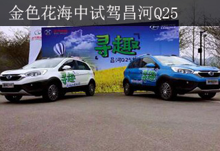 驾驭青春的灵动：金色花海中试驾昌河Q25