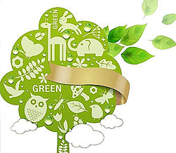 丰田环保奖的更多内容