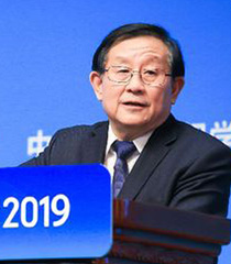 中国电动汽车百人会论坛(2019)