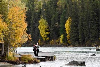 新疆旅遊業&ldquo;回暖&rdquo; 阿勒泰秋季旅遊升溫加速