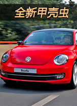 全新甲壳虫