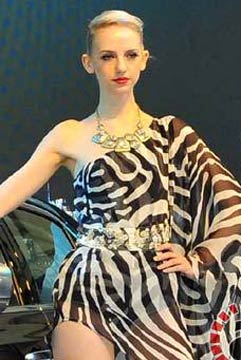 北京车展&middot;洋车模