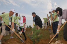 员工与志愿者们积极植树造林