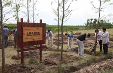 上海大众VW品牌环保行动进行时