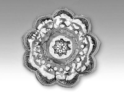 寻索中华文化之美