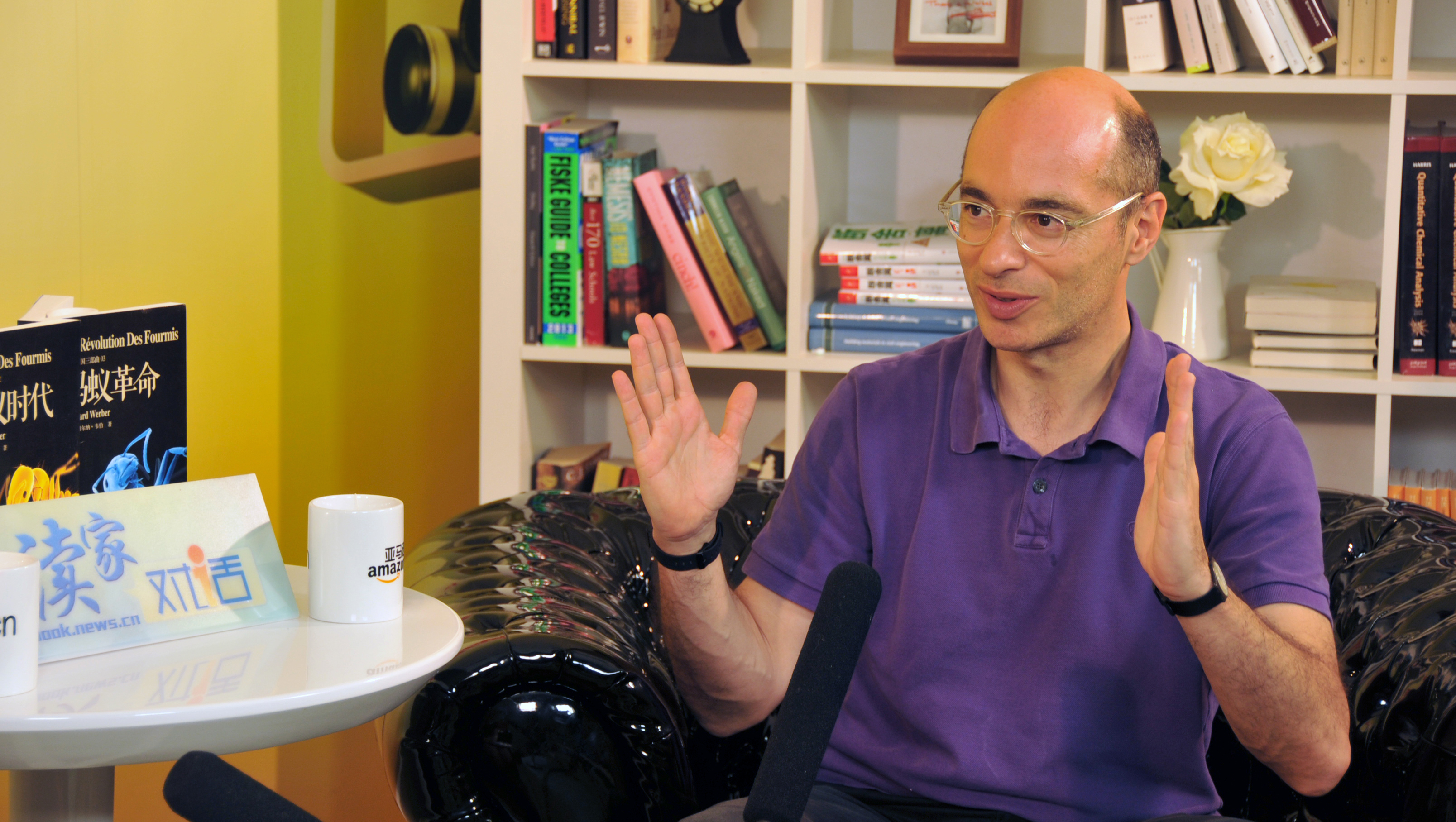 蚂蚁文明和人类文明的碰撞【视频】