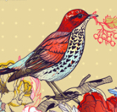 动植物间协同进化：花适应了鸟，还是鸟适应了花