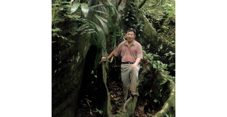 人与巨大的板状根