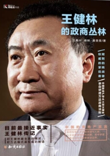 王健林的政商丛林