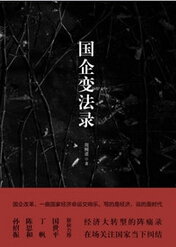 国企变法录