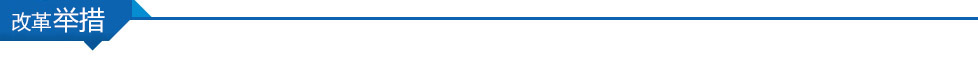 改革举措