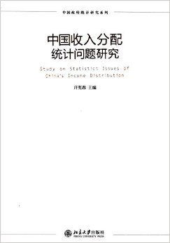 中國收入分配統計問題研究