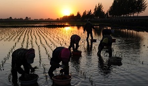 乡土中国影像志&mdash;&mdash;朴素的真实与守望