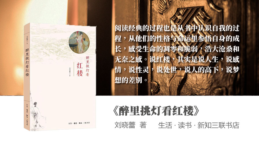《醉里挑灯看红楼》
