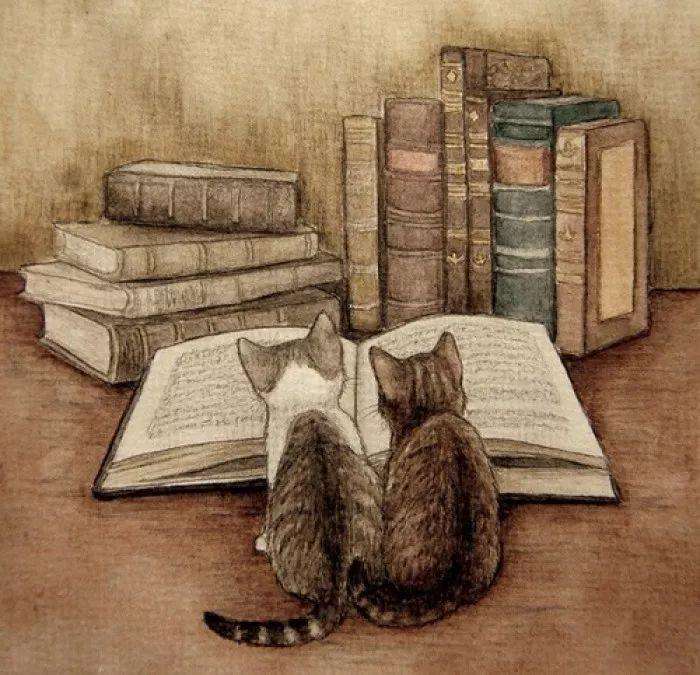 【一人一句】阅读是一种生活方式