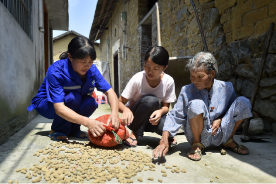 廣西柳州市柳江縣的覃凡桃（中）和奶奶、媽媽在家裏整理花生。
