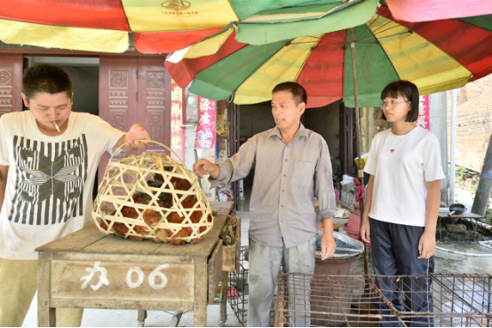 广西南宁市隆安县的兰羚帮助爸爸打理家事。