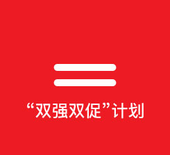 双强双促