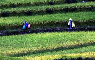 6257万双色球头奖得主领奖 现场捐50万善款-新