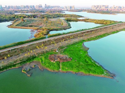 盘龙城遗址：长江流域青铜文明的开端