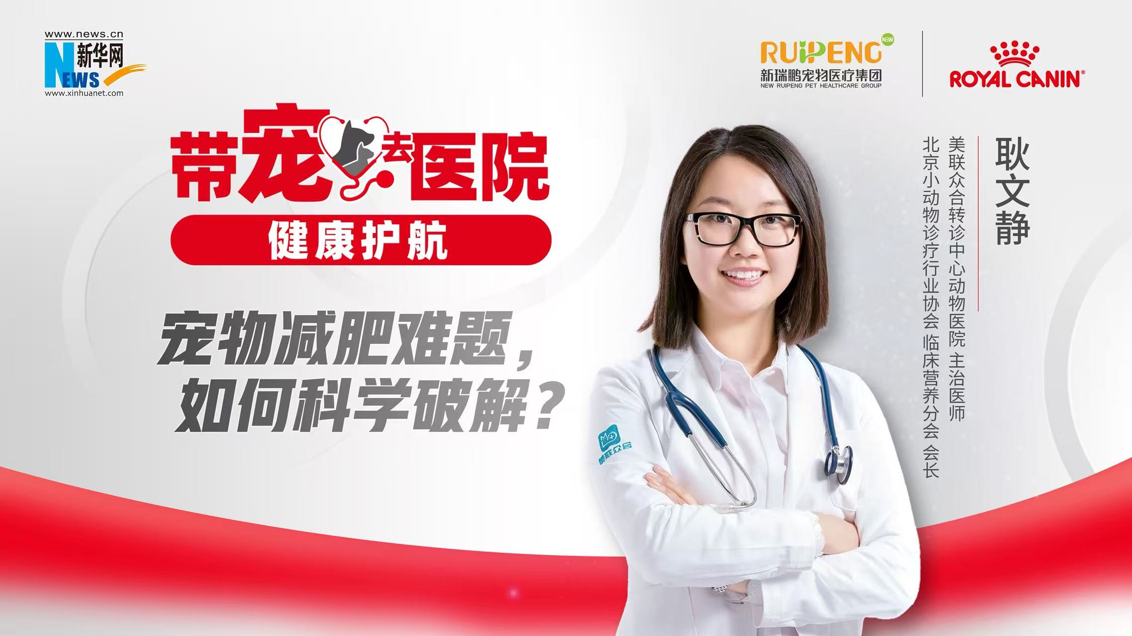 带宠去医院 健康护航｜宠物减肥难题，如何科学破解？