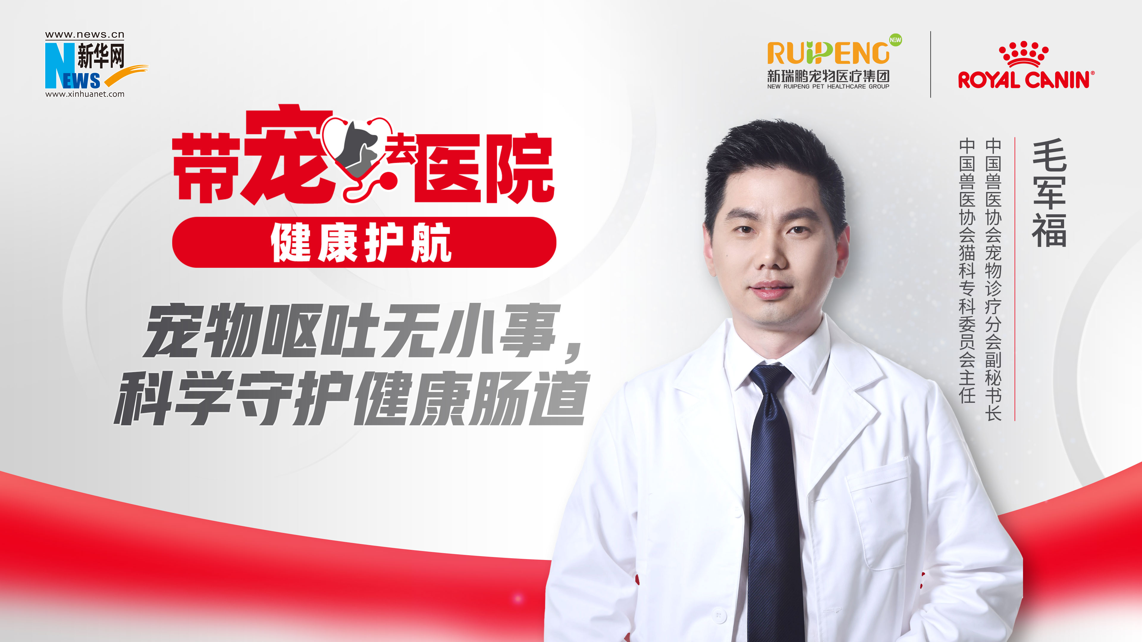 带宠去医院 健康护航｜宠物呕吐无小事，科学守护健康肠道！