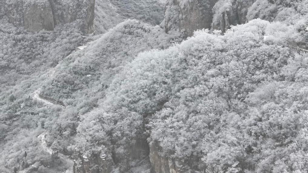千城胜景｜河北磁县：天保寨雾凇扮靓寒冬