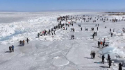 冰雪游乐受青睐 青海湖旅游热度不减