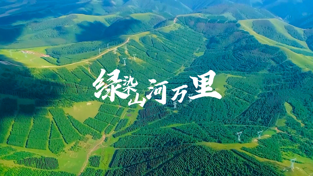 微视频｜绿染山河万里
